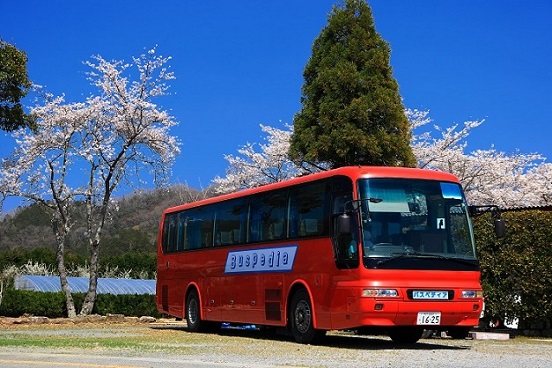 2023.3/31 兵庫/丹波篠山市・篠山城址周辺