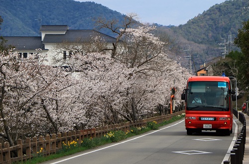 2023.3/31 兵庫/丹波篠山市・篠山城址周辺